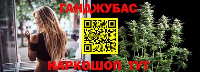 ешки Ставрополь